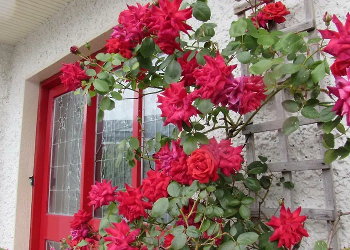 Rosegarden 캐슬바